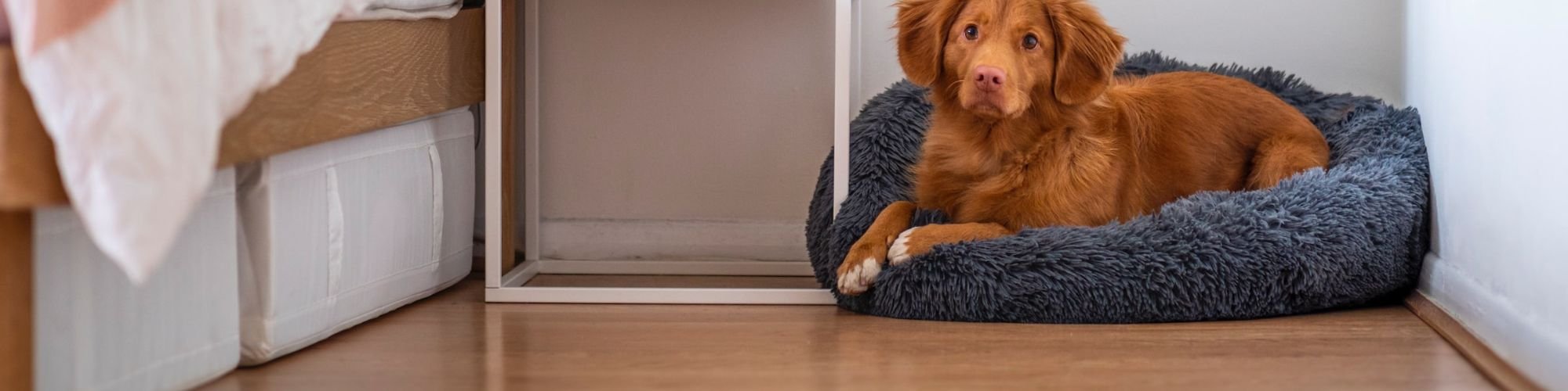 Laminate Flooring in Lindon, UT at Flooring Solutions By Design