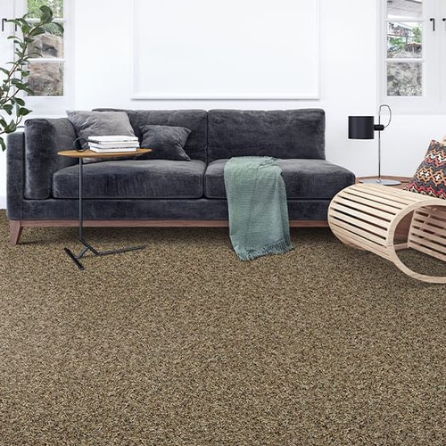 Stylish home with new carpet flooring installed